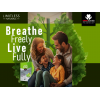 LIMITLESS N-ACETYL CYSTEINE PLUS — TRIPLE ACTION WITH BEE PROPOLIS & BROMELAIN DIETARY SUPPLEMENT 10 STICK PACKS